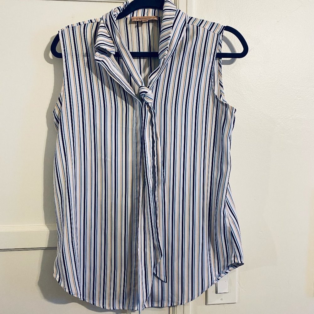Striped Tank Top Blouse